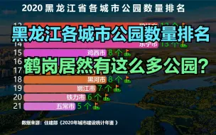 Download Video: 黑龙江33个城市公园数量排名，想不到鹤岗房价低，公园有那么多