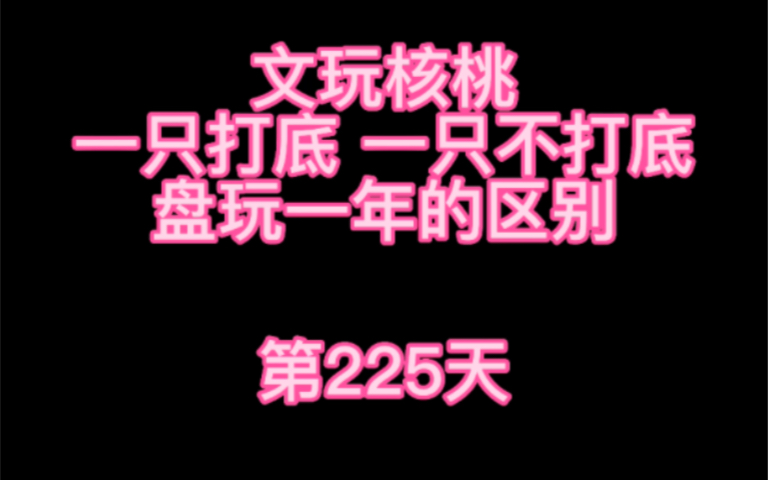 文玩核桃,一只打底,一只不打底,盘玩一年的区别!第225天哔哩哔哩bilibili