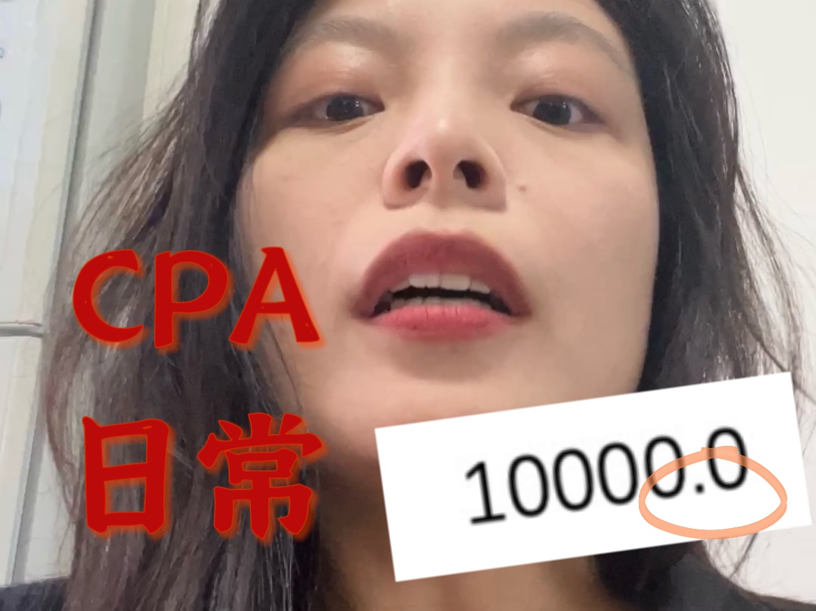 月入十万多一点,CPA负婆日常vlog哔哩哔哩bilibili