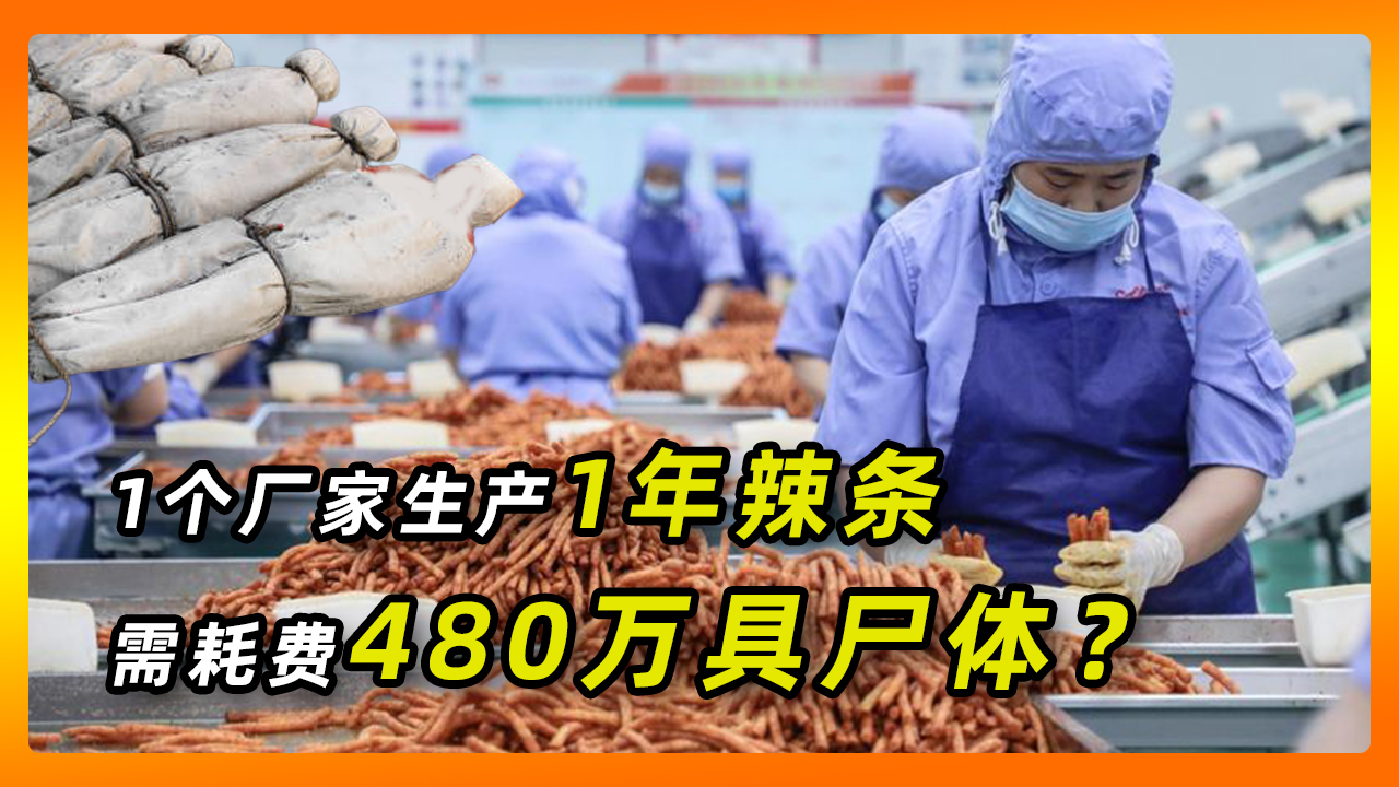 辟谣:1家公司生产1年辣条,耗450万具尸体?辣条真是尸油做的?哔哩哔哩bilibili