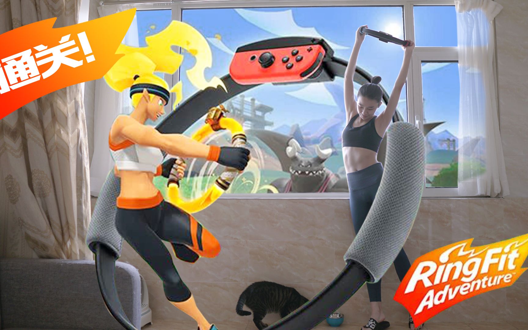 switch【健身环大冒险通关后!