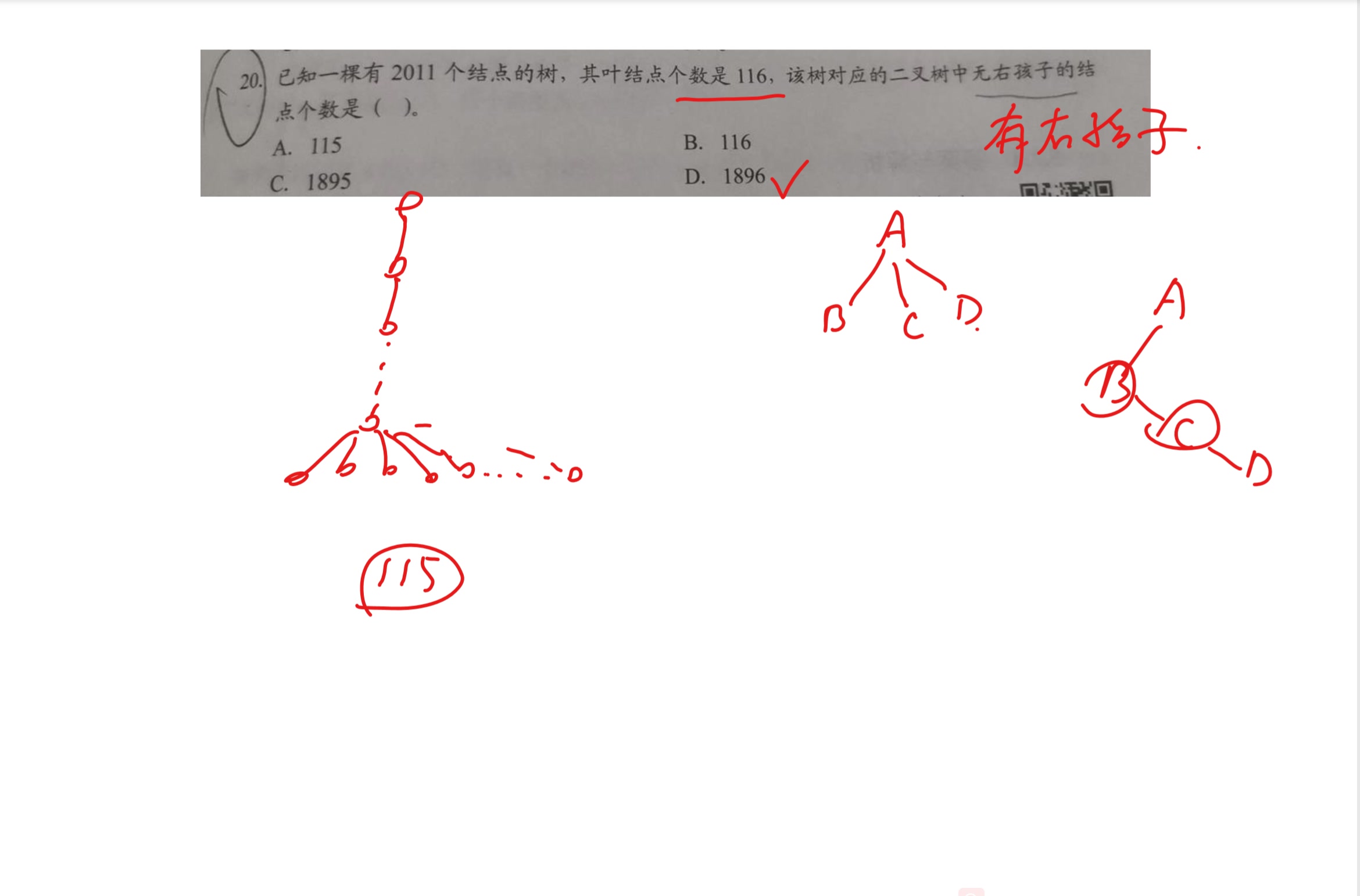 【新威考研】2011个结点,116个叶结点哔哩哔哩bilibili