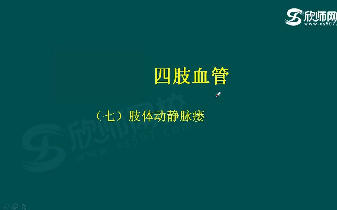 152第21章头颈和四肢12:肢体动静脉瘘  超声医学副高哔哩哔哩bilibili