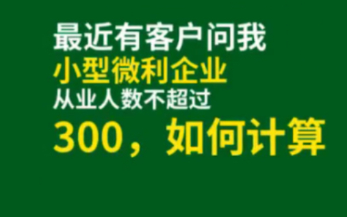 小型微利企业,从业人数不超过300,如何计算?哔哩哔哩bilibili