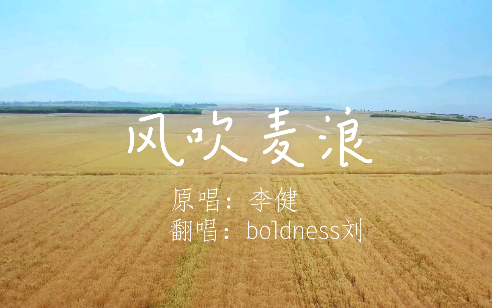 【boldness刘】风吹麦浪哔哩哔哩bilibili