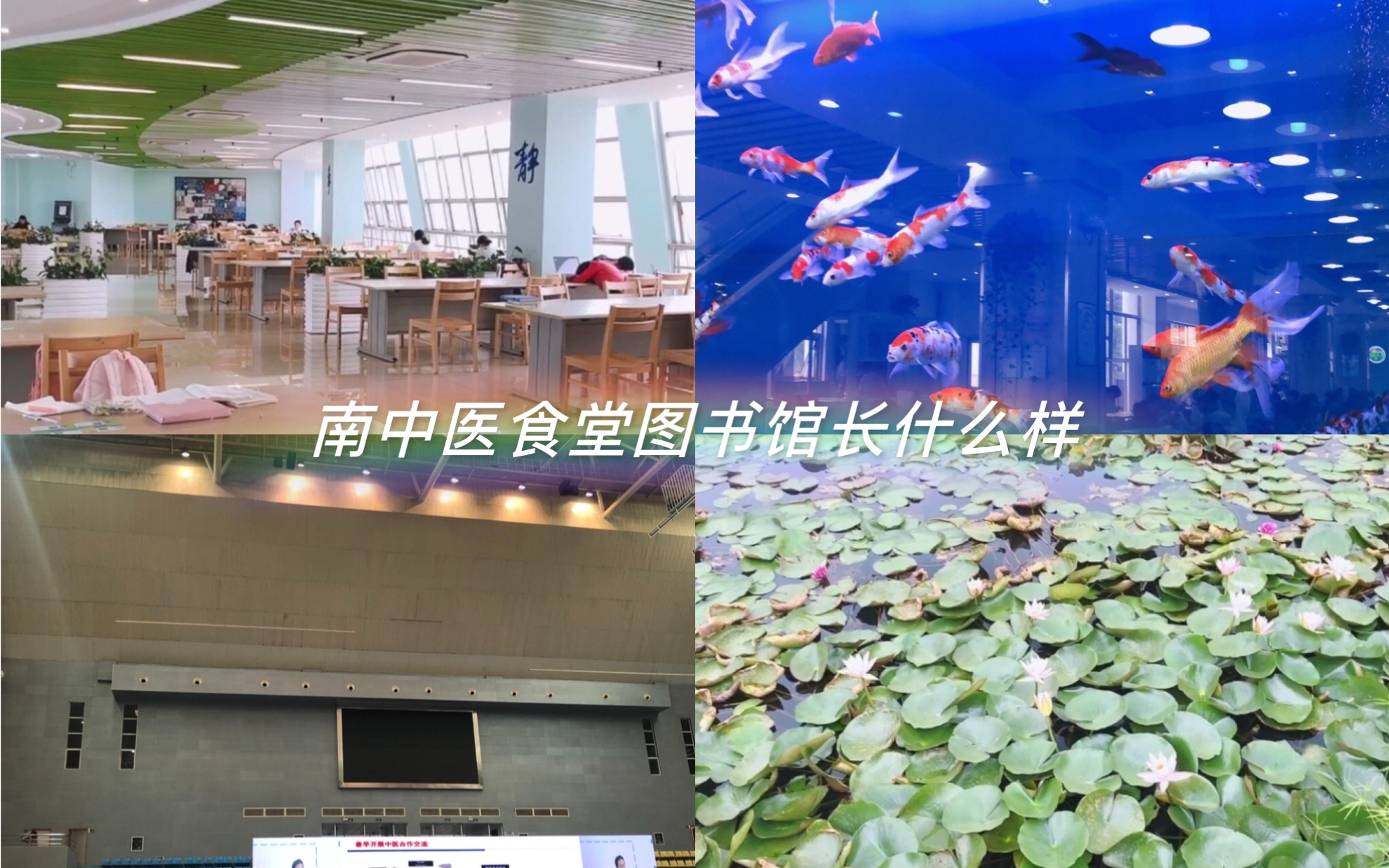 南京中医药大学食堂/图书馆/体育馆/教室长什么样子/开学第一周/中医考研/中医择校/校园环境哔哩哔哩bilibili