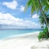 高清视频素材：白云 海边 沙滩 椰子树