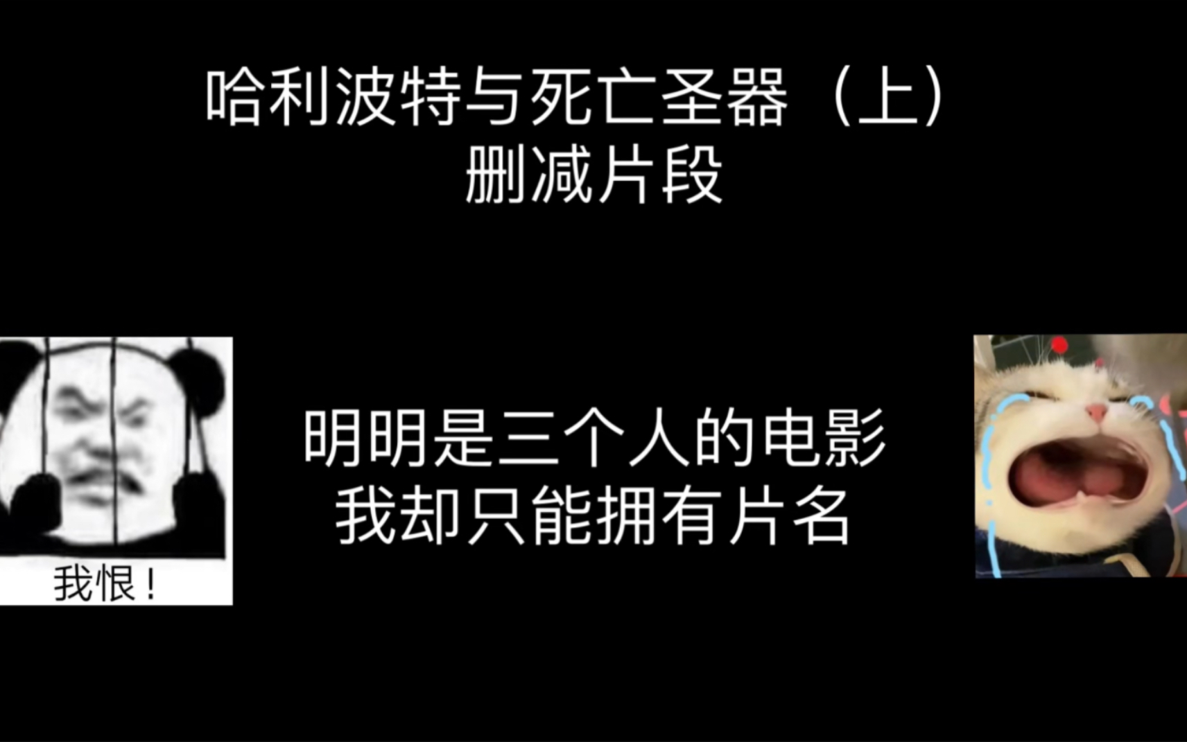 【中英双字】【哈迷考古】哈利波特与死亡圣器(上)删减片段 罗赫恋爱日常 果然!官配才是最好磕的 HP|罗赫哔哩哔哩bilibili