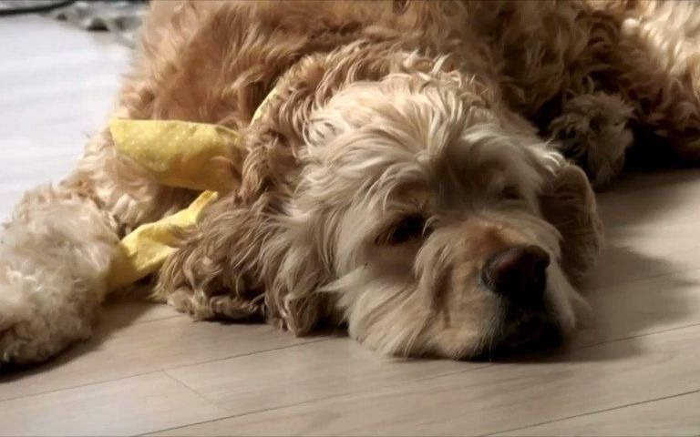 [ ] new begin, of the day  live