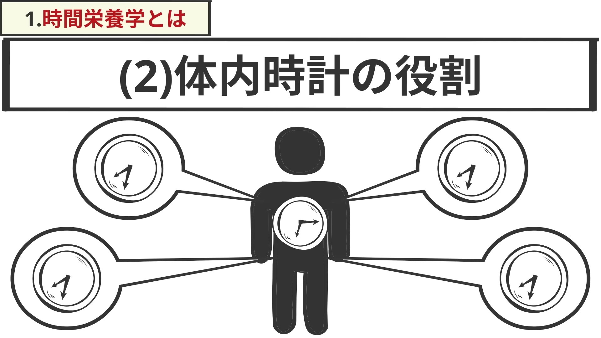 【日语畅销书】左右肥胖、老化、生活习惯病食べる时间でこんなに変わる 时间栄养学入门 体内时计が左右する肥満、老化、生活习惯病哔哩哔哩bilibili