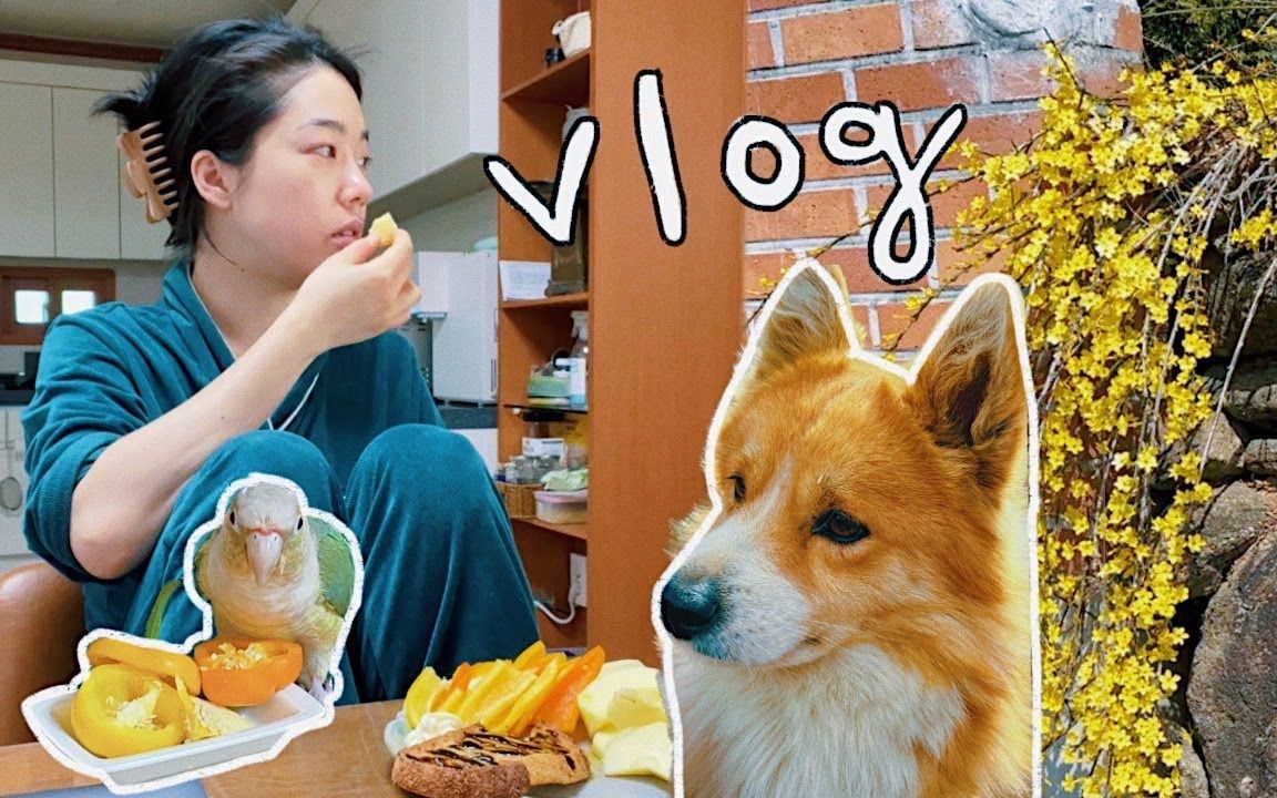 [图]【搬运】蒜姐Garlic Kim I Vlog240 I 不说话vlog I 春日村居日常 I 20230317