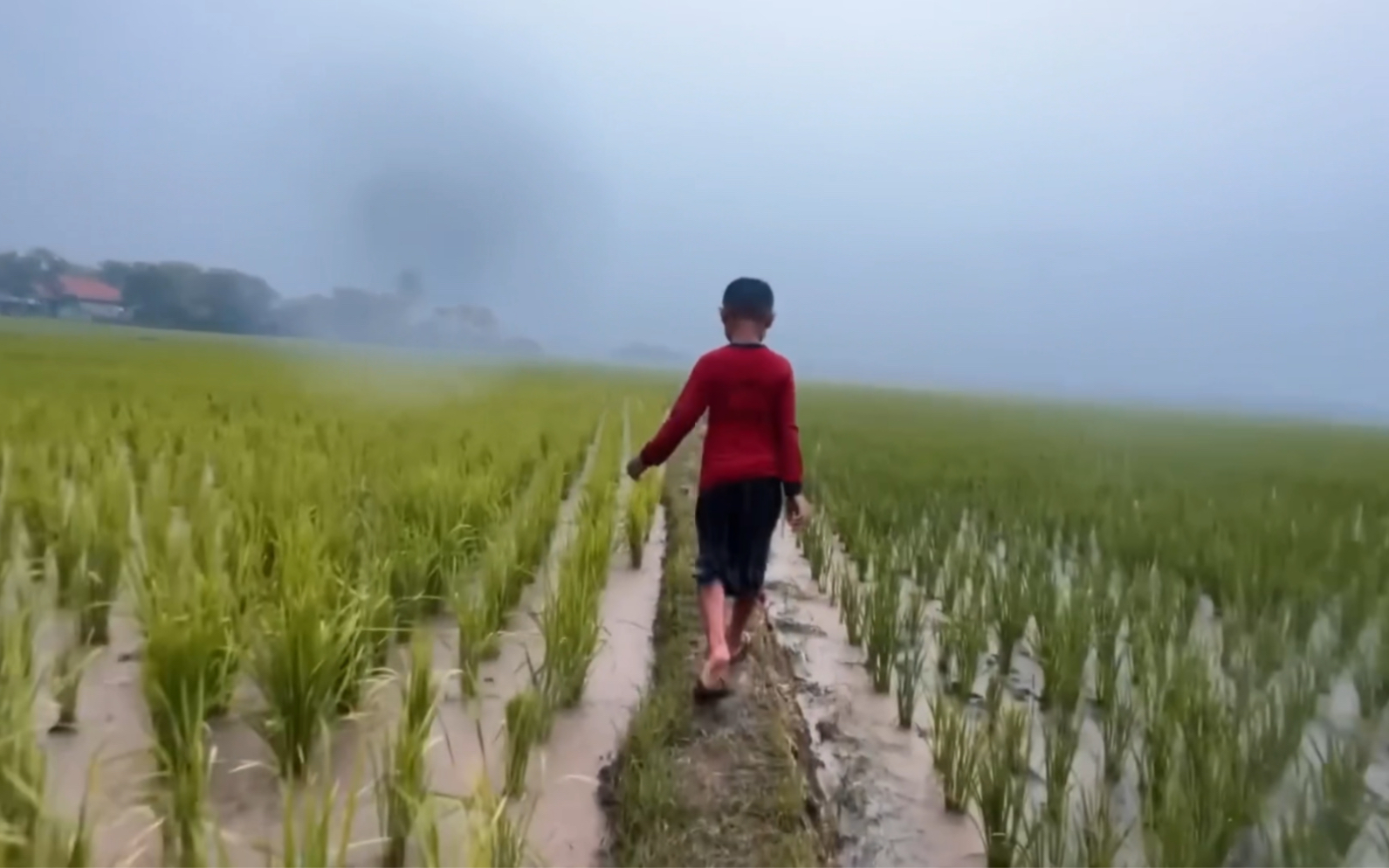 [图]快乐的童年是在雨中度过的，伤心的青春也都是在雨天。