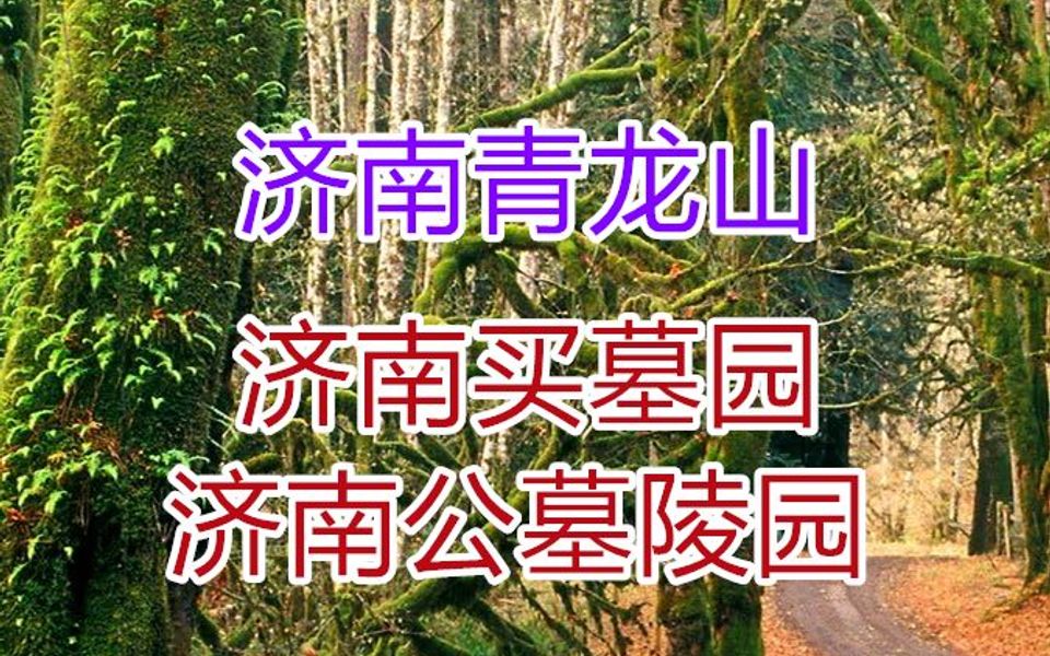 青龍山公墓.濟南正規公墓