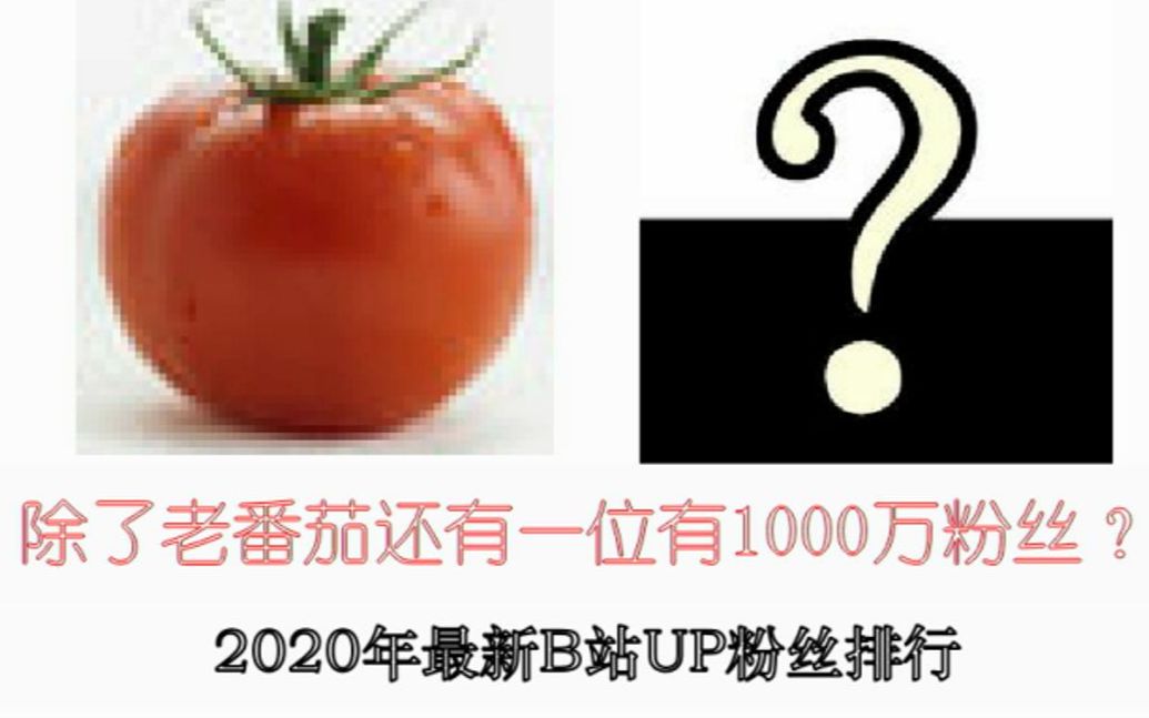 【2020年最新UP粉丝数排行】除了老番茄还有一位有1000万粉丝!?哔哩哔哩bilibili