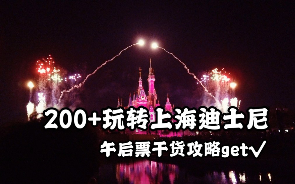 在上海/上海迪士尼超值干货攻略分享!!只需200+午后票玩转上海迪士尼哔哩哔哩bilibili