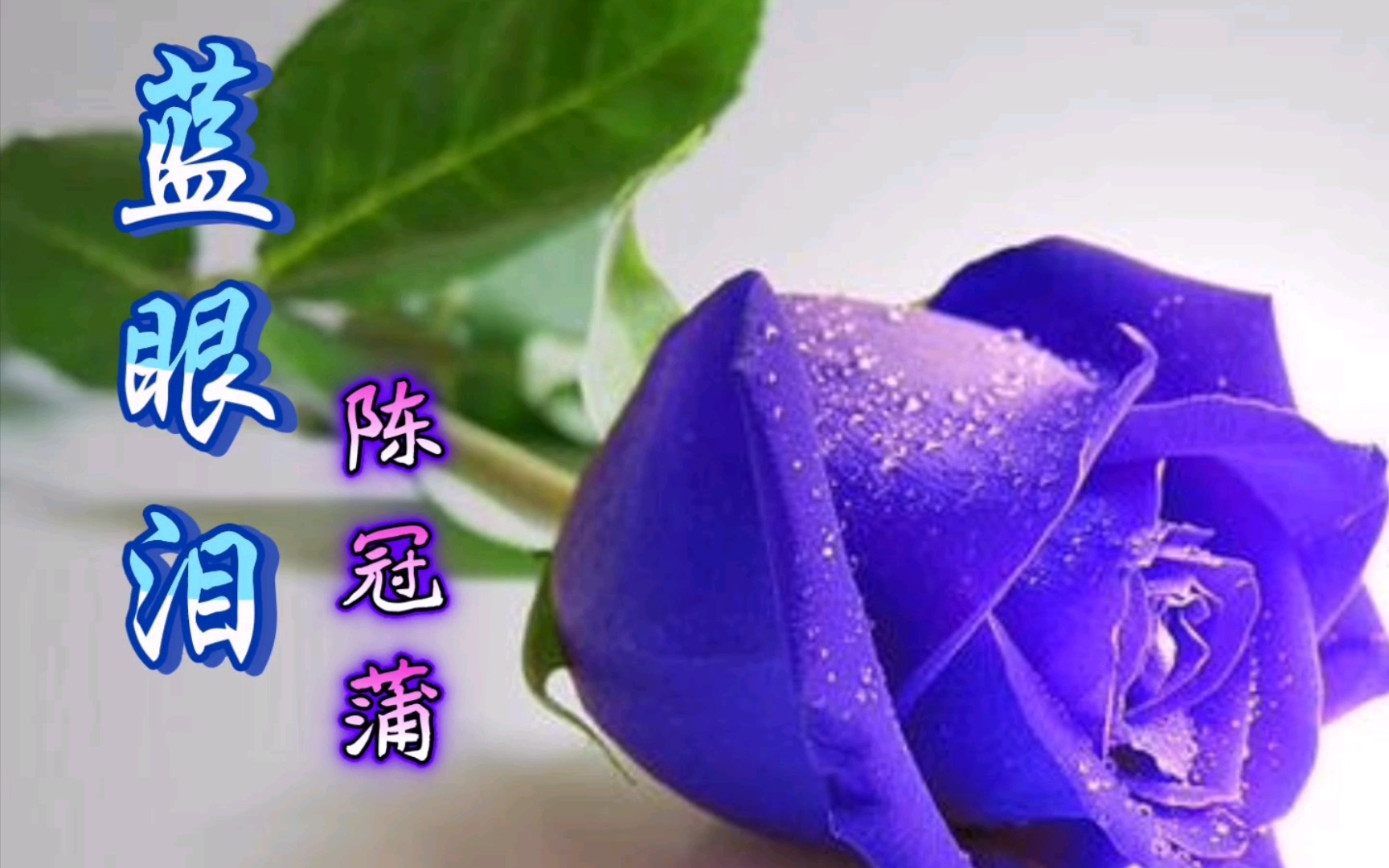 陈冠蒲《蓝眼泪》,蓝色的眼泪,滴落在你眉间能解开情结
