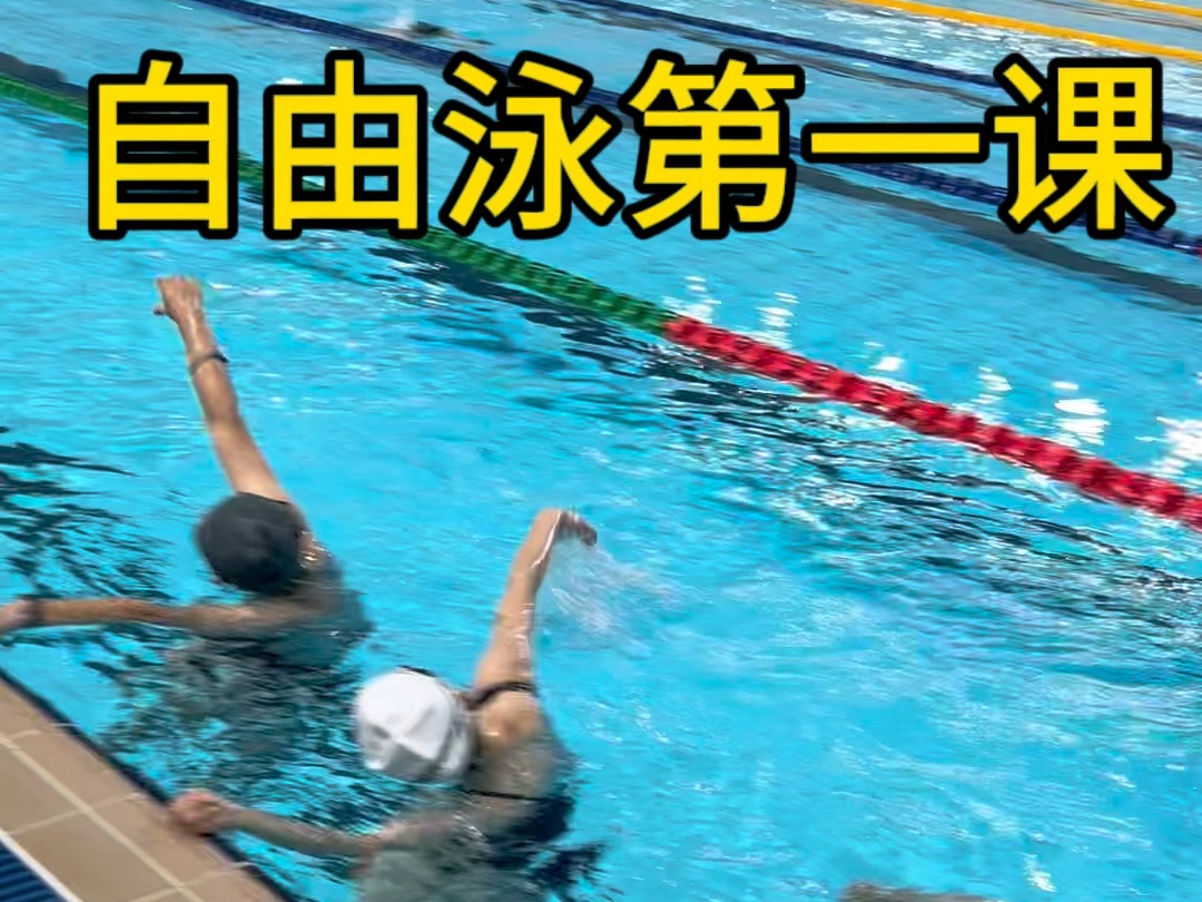 【自由泳上课实拍】看这节课内容你能跟上么?