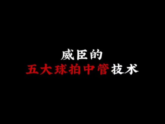 威臣的五大球拍中管科技哔哩哔哩bilibili