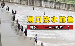 Download Video: 闸口放水，抓鱼也要懂孙子兵法，摆一字长蛇阵？网友：果然鱼获满满