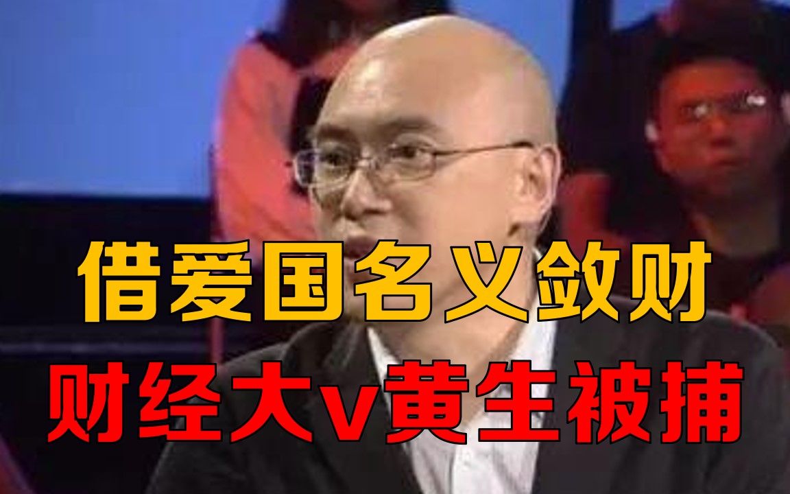 真敛财假爱国!财经大v被捕涉案上亿,资本无序扩张终迎国家重拳哔哩哔哩bilibili