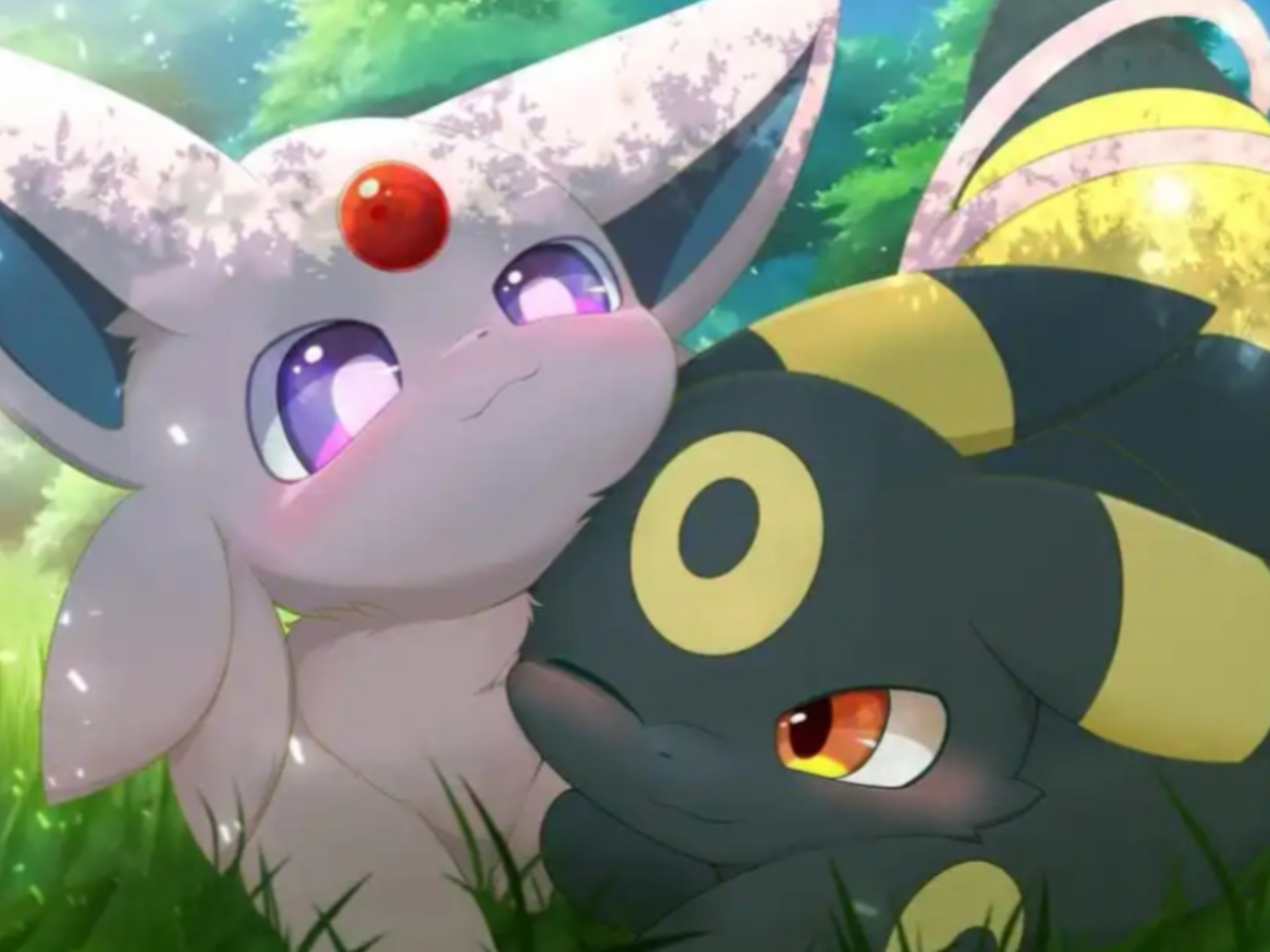 小月亮伊布来啦