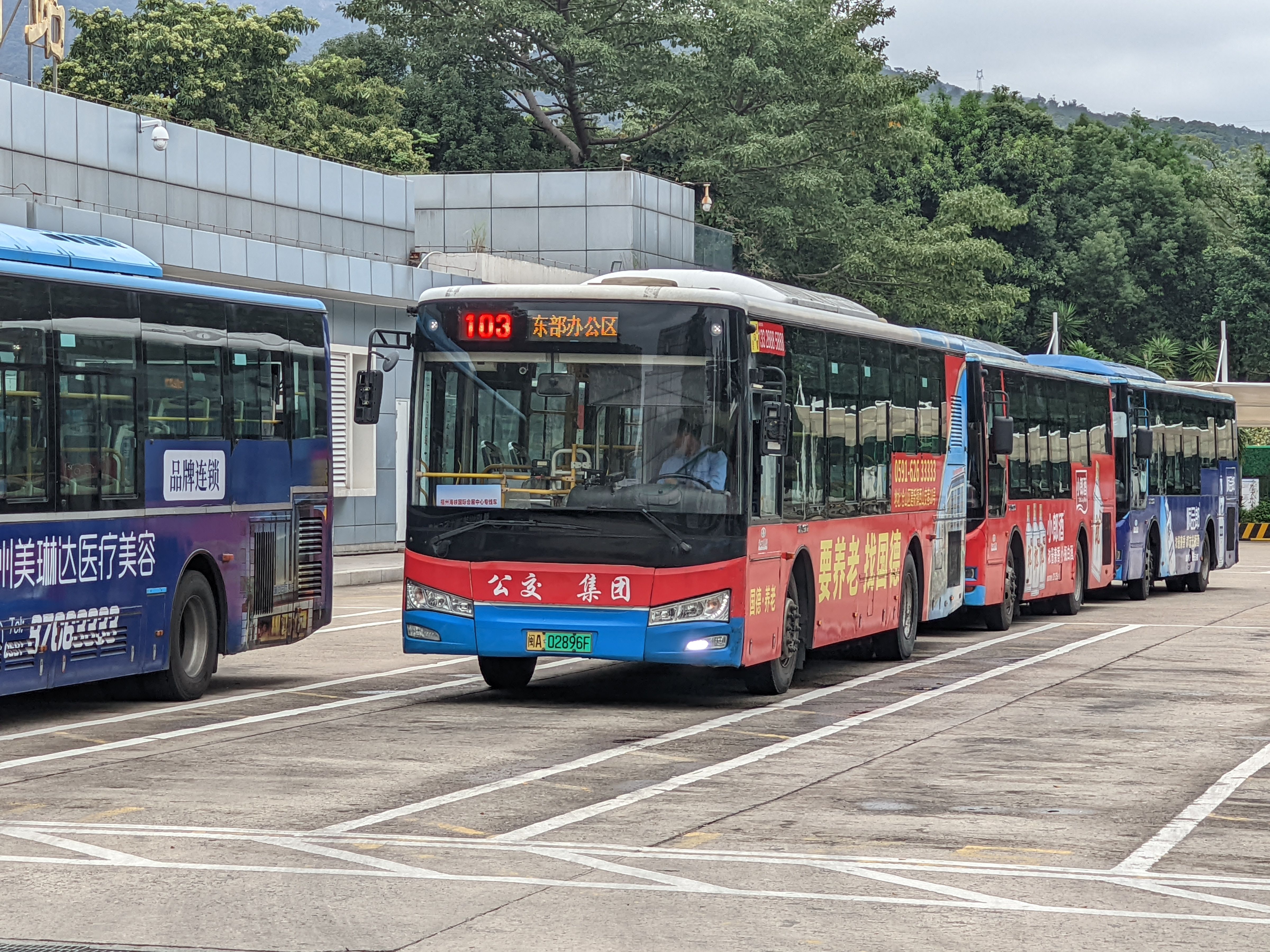 【福州海峡国际会展中心专线车】福州公交103路公交pov(公交海峡国际