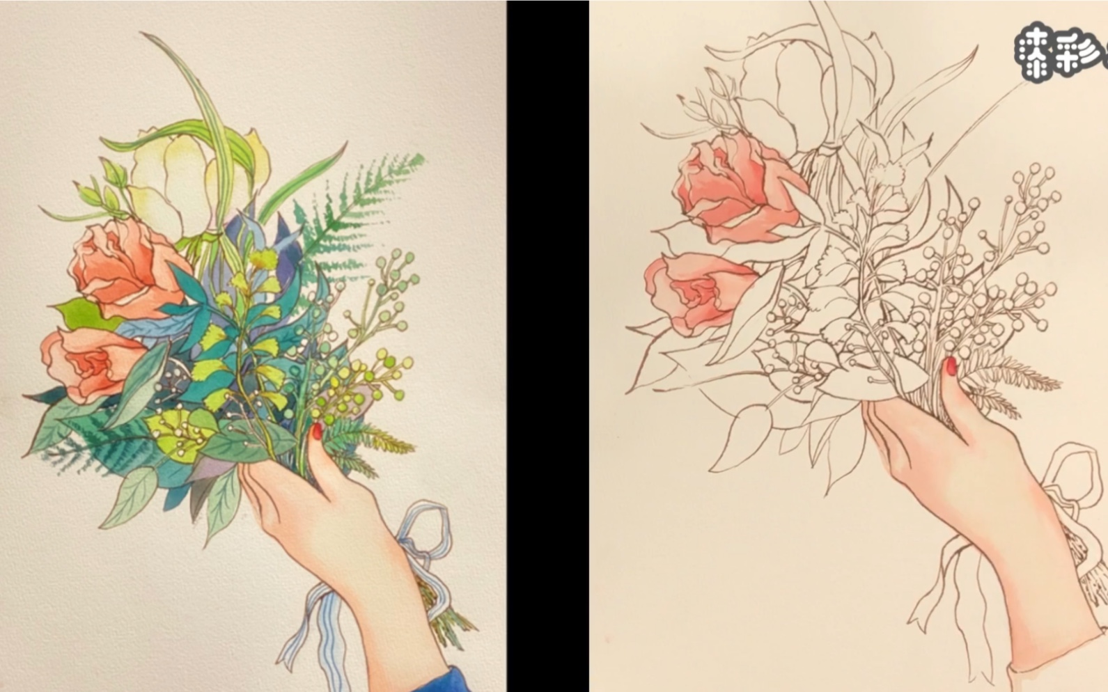 钢笔淡彩花卉———手有余香