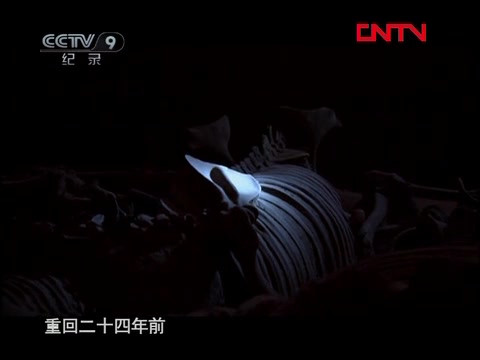 CCTV 晋国赵卿墓(下)哔哩哔哩bilibili