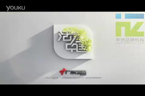 广东卫视广告2013图片