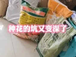 Télécharger la video: 这个种花的坑看来是越来越深了，又买了这么多东西了。种花就跟种田一样，还是要讲科学的，瞎种还是种不好的。以前我也不信邪，随便种是真的不行。#养花 #种植小技巧