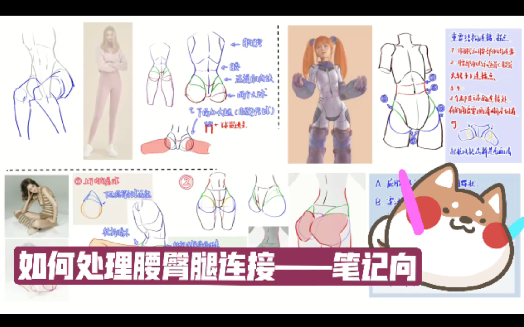 [绘画]如何绘制人体腰臀腿连接——笔记向哔哩哔哩bilibili