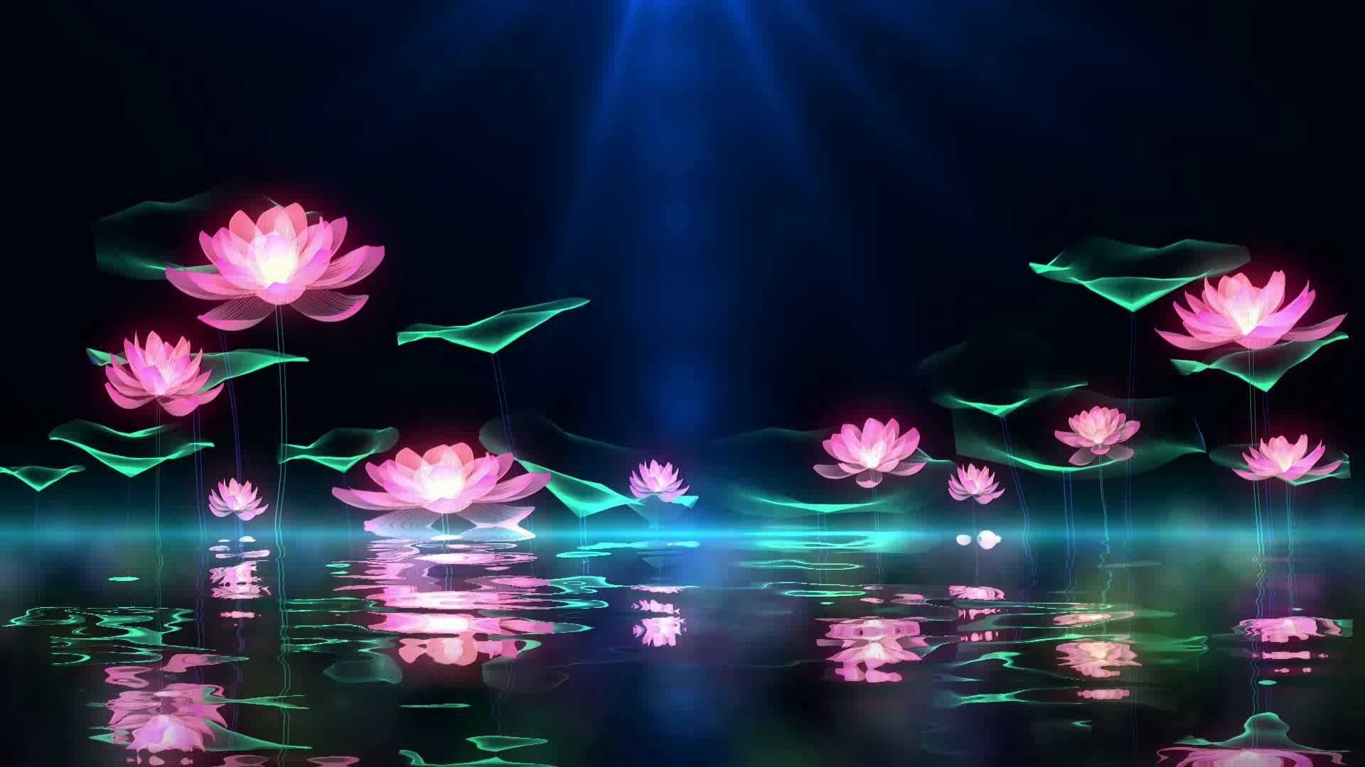 梦幻唯美中秋节荷花塘舞台背景数字展厅视频内容制作怎样制作博物馆