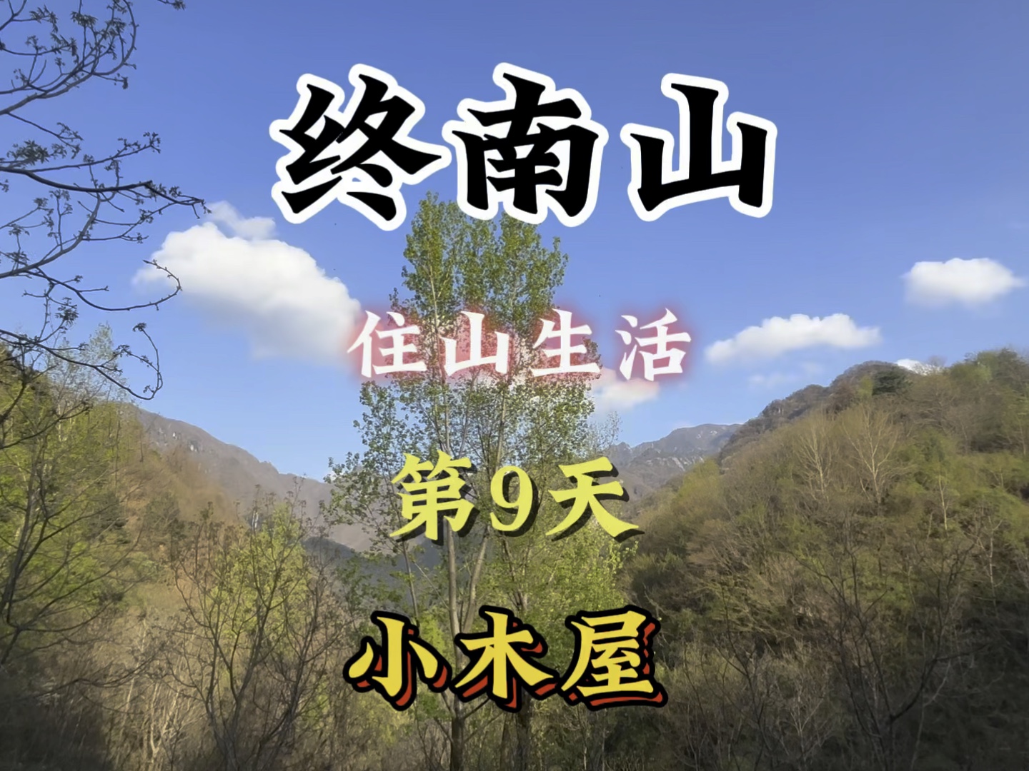 终南山 住山生活 第9天 分享一下小木屋周边的风景,有愿意过来隐居的没…哔哩哔哩bilibili