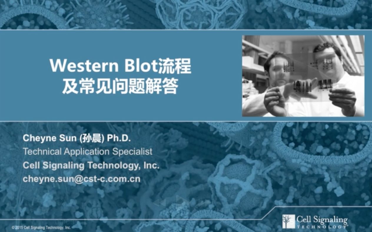 Western Blot Principles and Applications