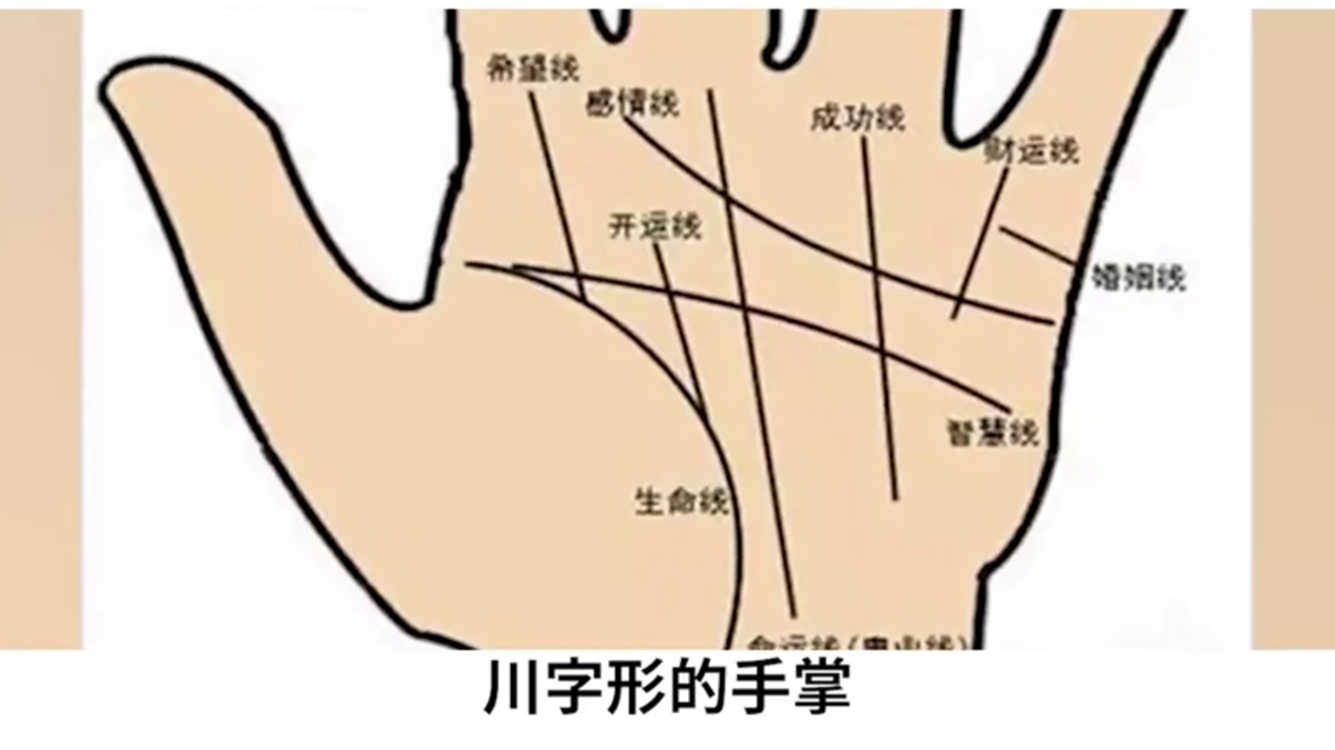 m型掌纹命运如何