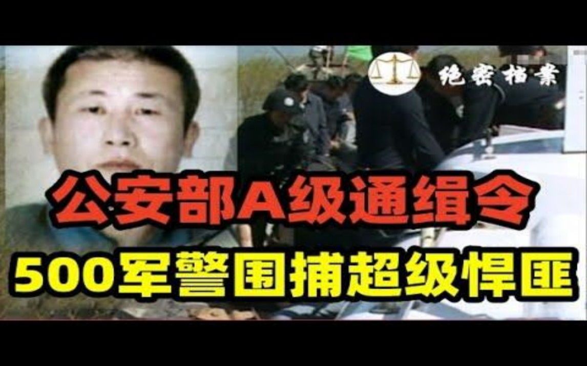 黑龙江省“09一号行动”通缉犯,500军警围捕超级悍匪,王厚军系列大案侦破抓捕纪实哔哩哔哩bilibili