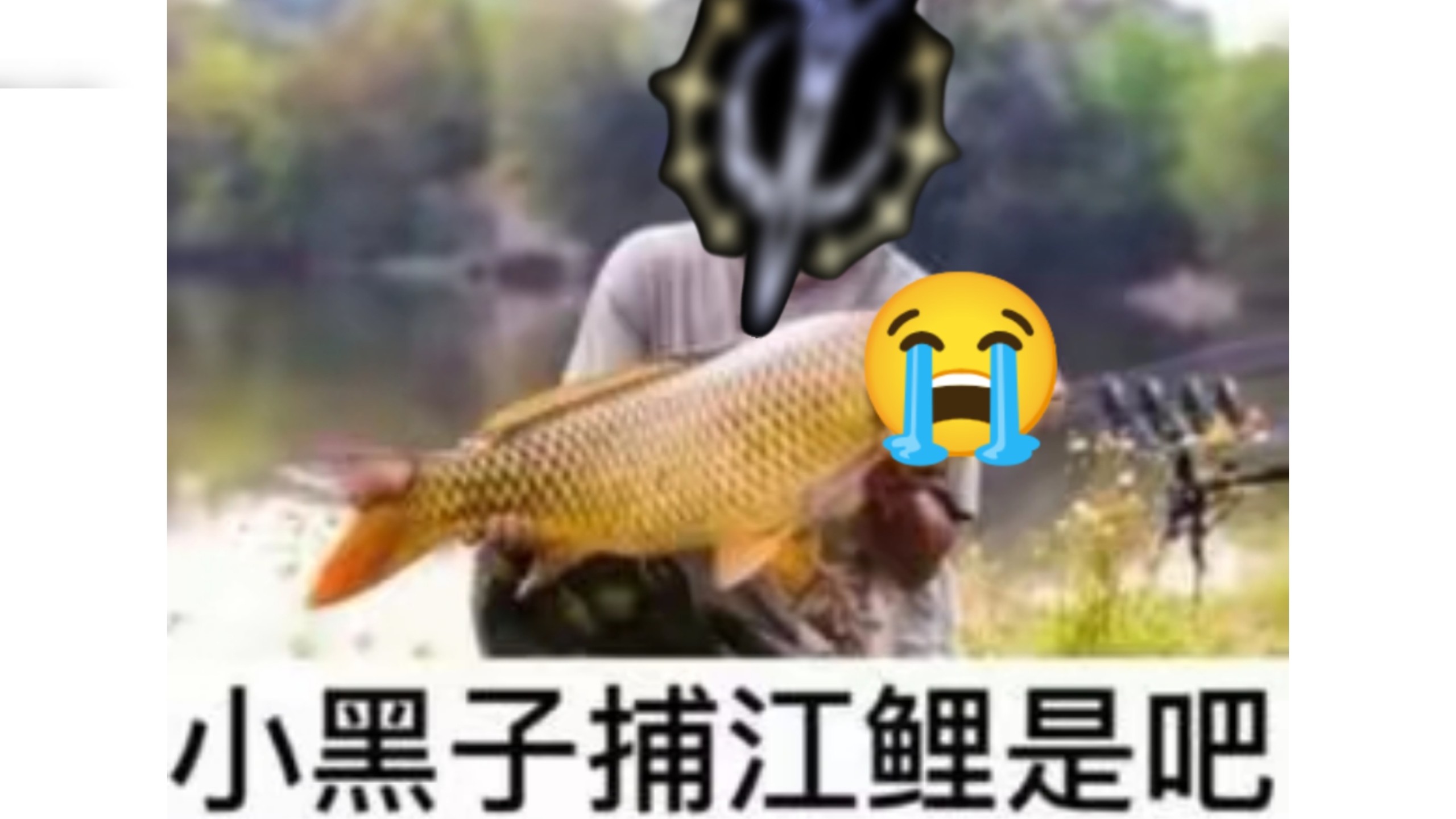 侵晨制作组起诉黑未竟之书的玩家?绿尸寒警告,小黑子泥闷药万丹了-氵金龟-氵金龟-哔哩哔哩视频
