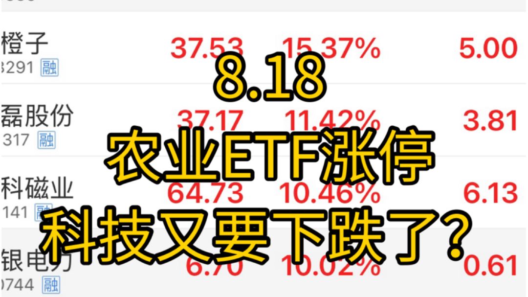 真没招了，粮食etf涨停！明年要爆发粮食危机？日韩跳水大跌，科技又要回落了吗？市场的主线到底什么时候才能出现!