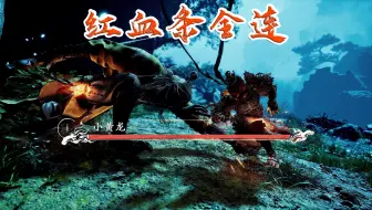 这真的是全网最着急的小黄龙无伤，红血条全连到底，没有散步，只有进攻