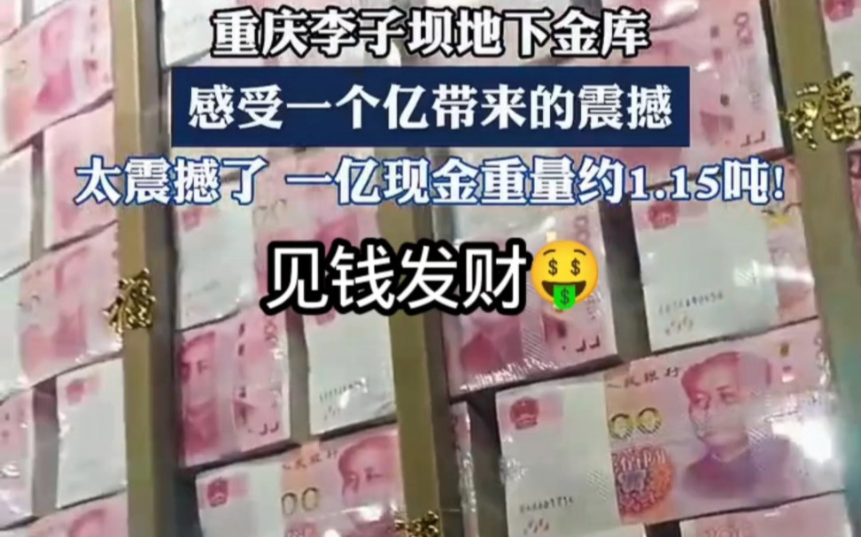 重庆李子坝地下金库，来感受下一个亿的震撼！见钱发财！