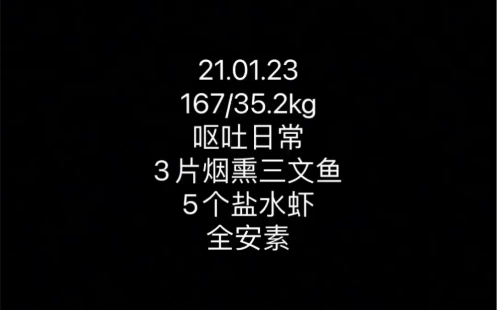 【21.01.23】呕吐日常:3片烟熏三文鱼+5个盐水虾+全安素哔哩哔哩bilibili