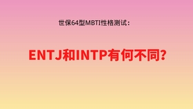Mbti看恋综 李紫瑶类型分析 Intp如何看待entj 强势没人爱 Entj 女的择偶困境90婚介所 哔哩哔哩 つロ干杯 Bilibili
