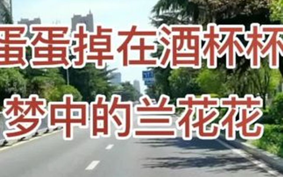 [图]陕北民歌《泪蛋蛋掉在酒杯杯里》《梦中的兰花花》电子琴纯音乐DJ串烧。