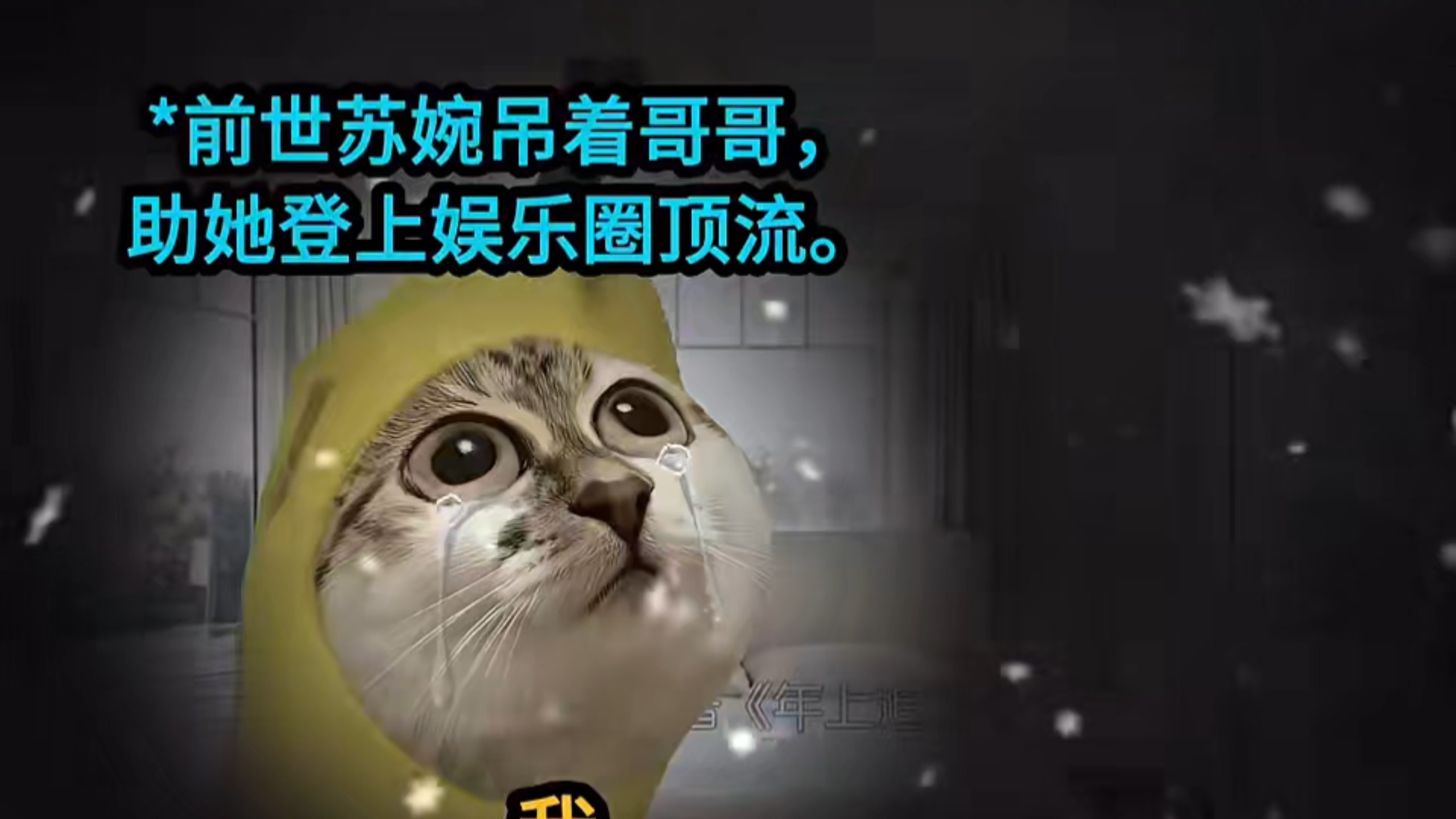 为了治好哥哥的恋爱脑，我治好缠上哥哥的死对头#猫meme #甜宠