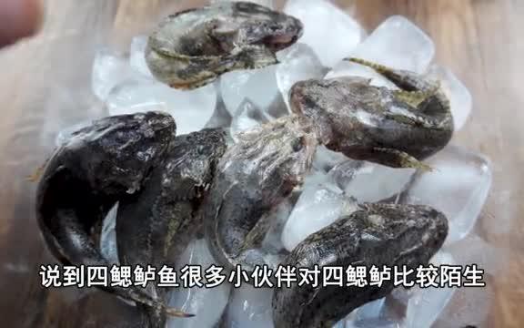 【世界第一系列】 试吃一斤的极品美食四腮鲈鱼哔哩哔哩bilibili