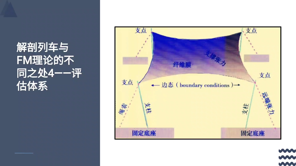 意大利筋膜理论fm13级,综述篇哔哩哔哩bilibili