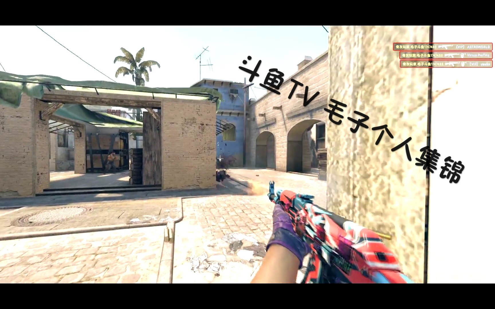 csgo斗鱼tv毛子个人集锦1080p60