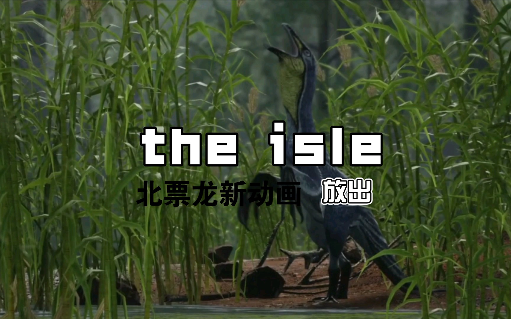 the isle 动画