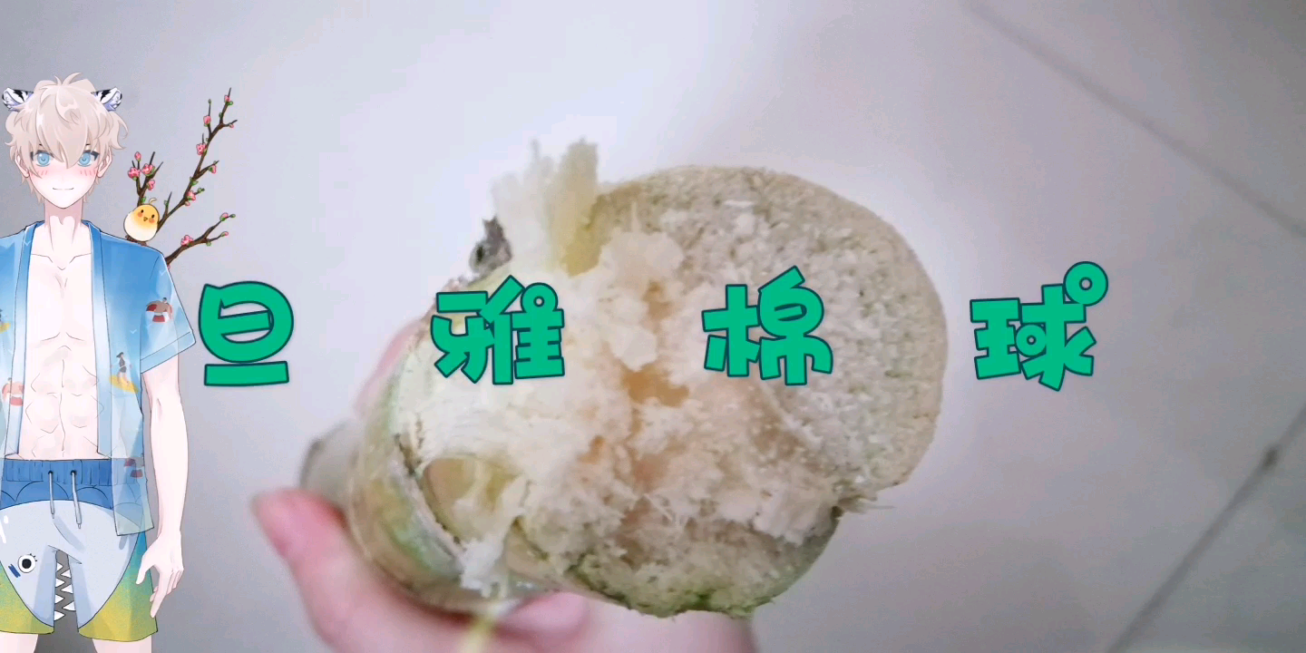 【美食记录】吃甘蔗,竹子和甘蔗是一个东西么?哔哩哔哩bilibili