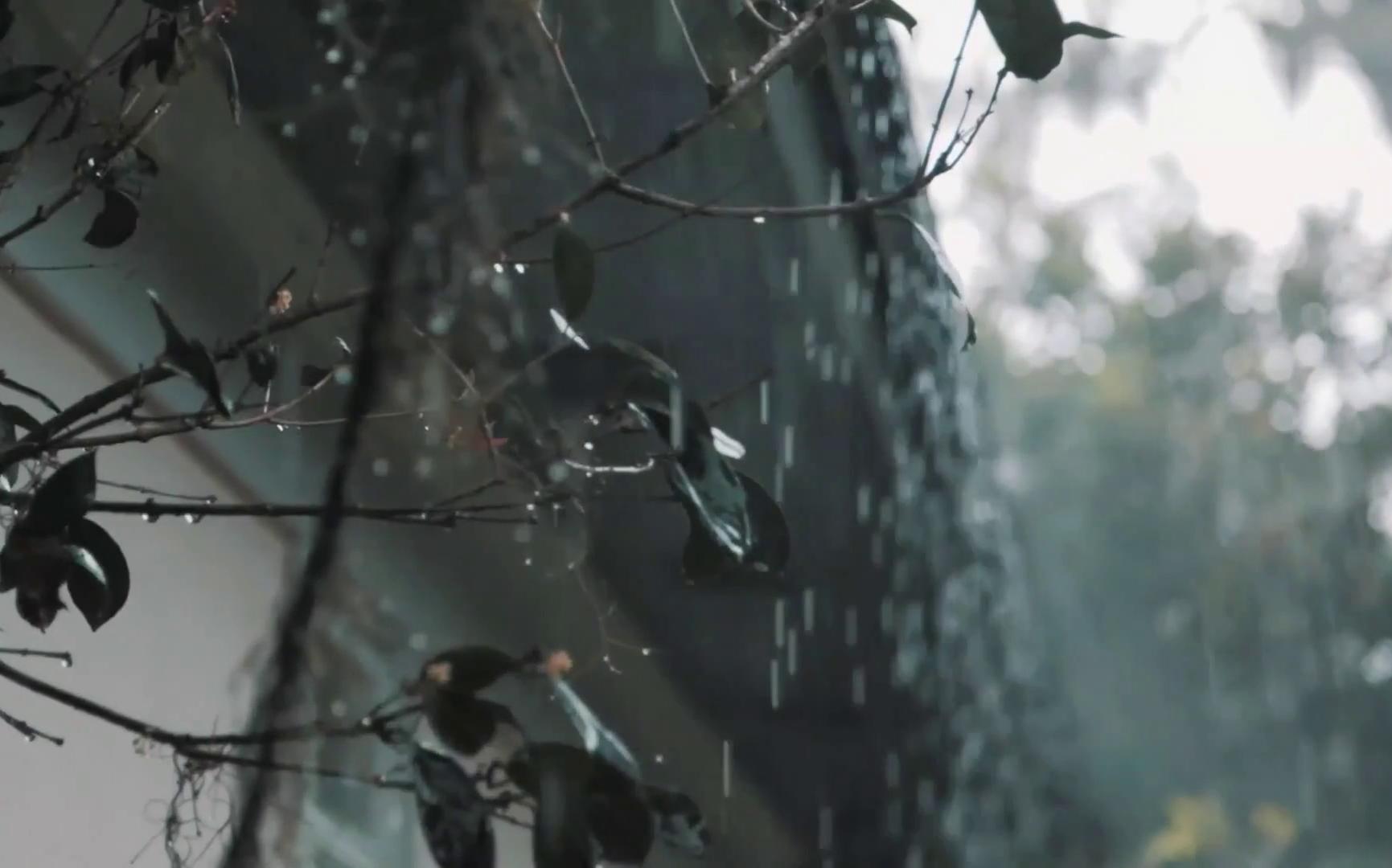 [图]听雨滴的声音